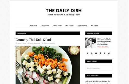 daily dish pro theme